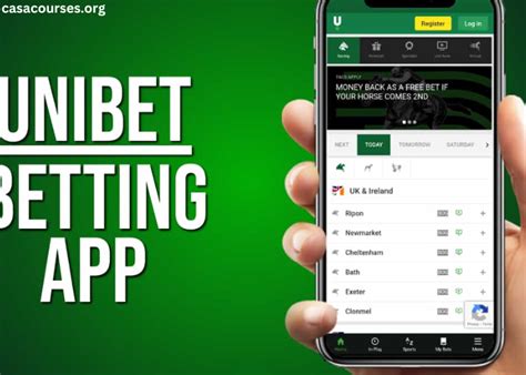 How to Bet on Sports – Unibet Betting Guide and Tips.